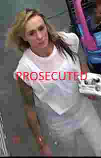 Wanted for theft (person 15) Wanted for theft (person 15)