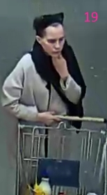 Person19 Wanted for Theft