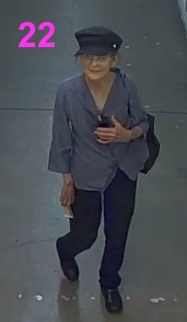 person22 wanted for theft